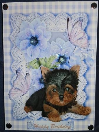 Cute Yorkshire Terrier in Gingham Frame with Flowers by Julie McGregor