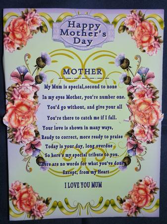 Mother Love by Julie McGregor