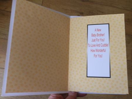 Big Sister Insert by Julie McGregor