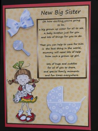 New Big Sister to Baby Boy by Julie McGregor