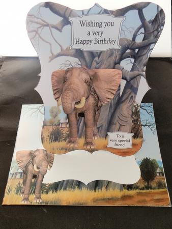 A Gentle Giant by Julie McGregor