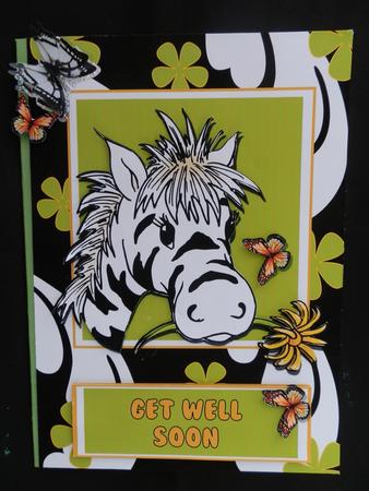 Zebra by Julie McGregor