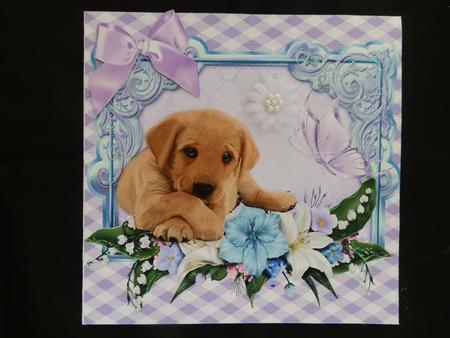 Cute Labrador Puppy with Butterfly and Flowers 8x8 by Julie McGregor