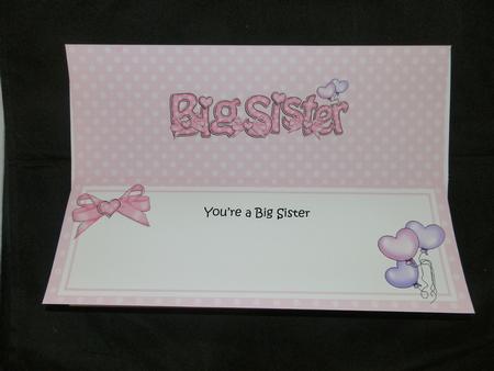 Big Sister Matching Large Dl Insert by Julie McGregor