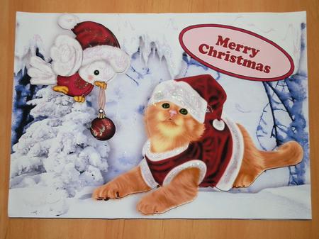 Cute Ginger Cat with Red Robin in the Snow by Julie McGregor