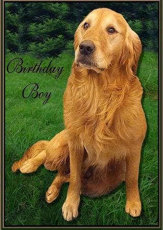 Golden Retriever Scene 3D Decoupage by Julie McGregor