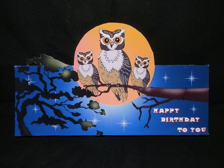Twit Twoo by Julie McGregor