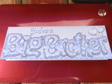 Large Dl Big Brother Felties Card & 3D Decoupage by Julie McGregor