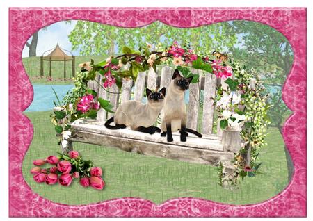 Siamese Cats in Park Beautiful Quick A5 Card Front by Julie McGregor