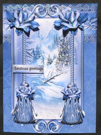 Christmas Winter Roses by Julie McGregor
