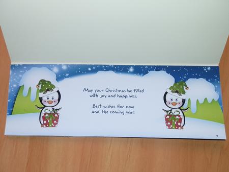 Large Dl Christmas Penguin Insert by Julie McGregor