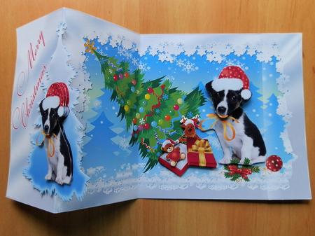 It Wasn't Me - Jack Russel Puppy by Julie McGregor