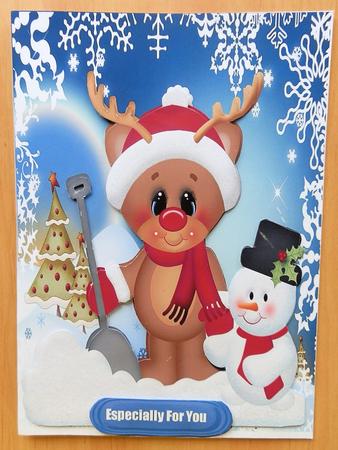 The Reindeer and Snowman  by Julie McGregor