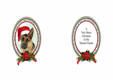 German Shepherd Christmas Wishes Insert by Julie McGregor