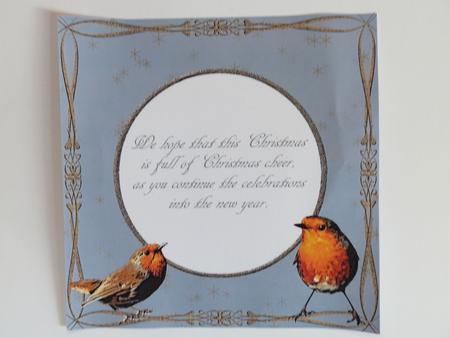 The Winter Robin Insert 2 by Julie McGregor