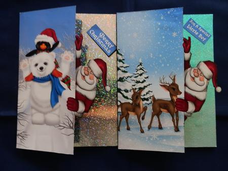 Santas Animals by Julie McGregor