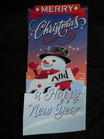 Christmas Snowman Cascade by Julie McGregor