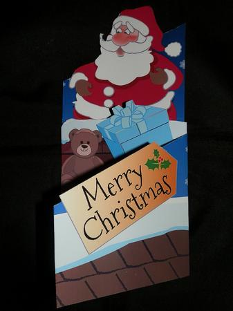Santa on the Roof Cascade by Julie McGregor