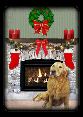 Golden Retriever Christmas Fire Place Scene by Julie McGregor