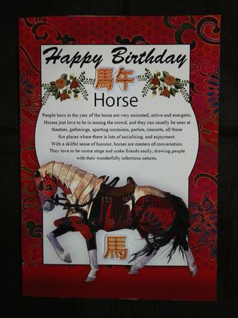 Year of the Horse Birthday Card by Julie McGregor