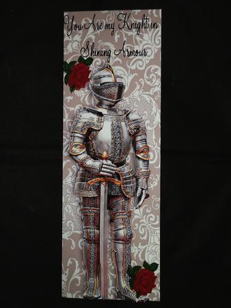 You Are My Knight in Shining Armour! Tall Dl Card by Julie McGregor