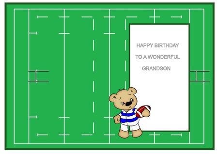 Rugby Bear Insert by Julie McGregor