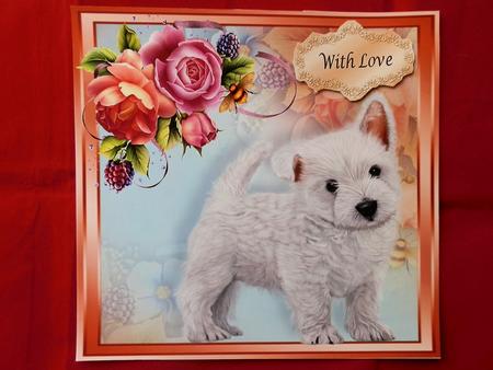 Gorgeous Westie with Spring Flowers 8x8 Mini Kit by Julie McGregor