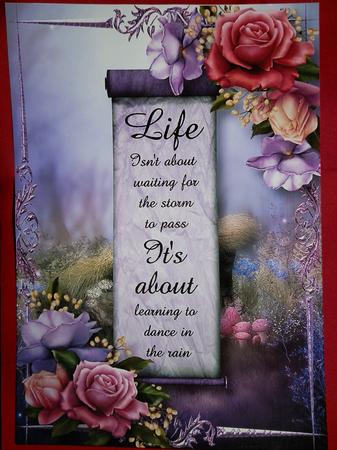 Beautiful Belle Roses - Life Isn't About -  by Julie McGregor