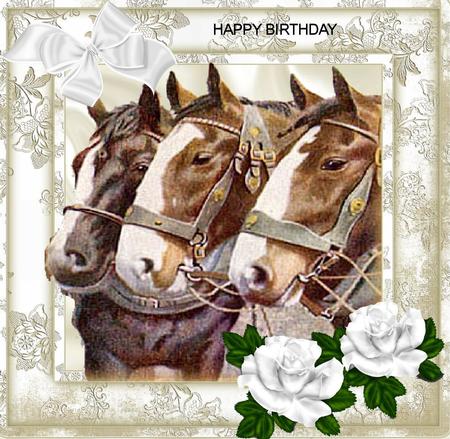 Beautiful Horses with White Roses 8x8 by Julie McGregor