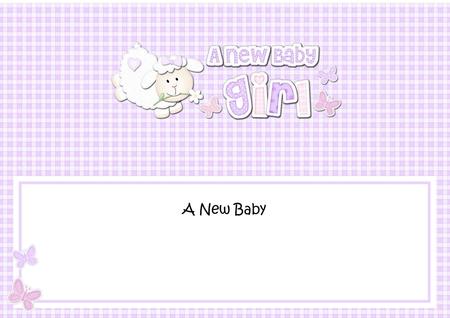 Little Lamb New Baby Girl Large Dl Insert by Julie McGregor