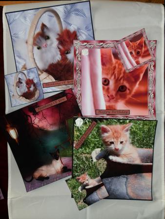 Bumper Kit Cat 8x8 Toppers by Julie McGregor