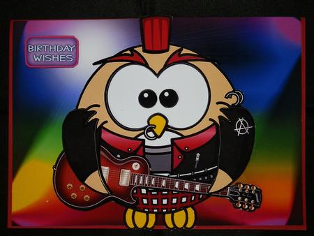 Rock on Owl Featured Gallery Photo