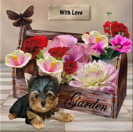 Flowers for Mother by Julie McGregor