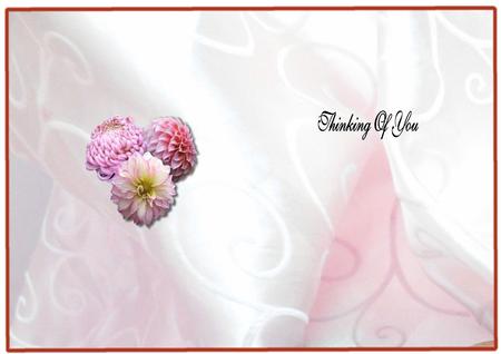 Dahlia Birthday Insert by Julie McGregor
