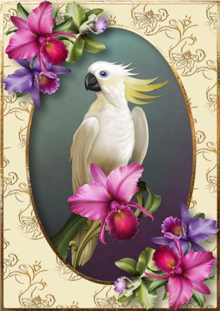 Tropical Elegance by Julie McGregor