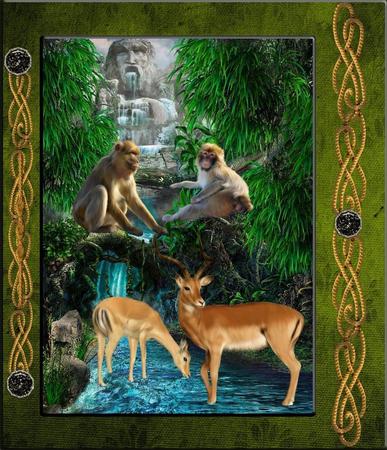 Jungle Waterfall Topper Insert and Tags by Julie McGregor