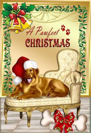 A Pawfect Christmas, with Dog in Santa Hat by Julie McGregor