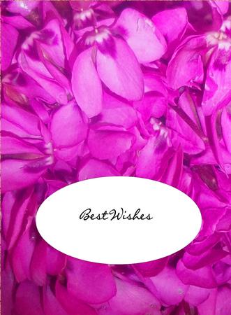 Floral Background 1 by Julie McGregor