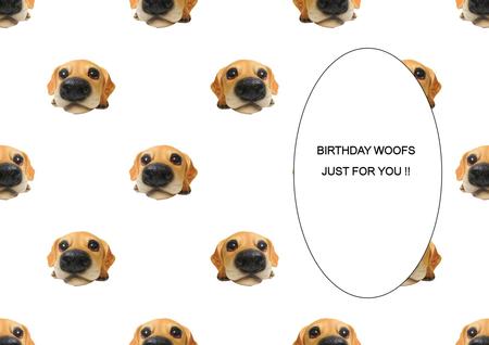 Dog Insert 5 by Julie McGregor