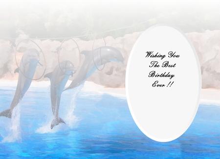 Dolphin Scene Insert by Julie McGregor