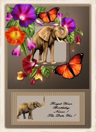Elephants Never Forget by Julie McGregor