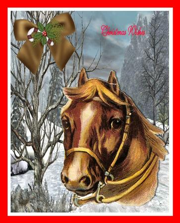 Horse in a Field of Snow by Julie McGregor