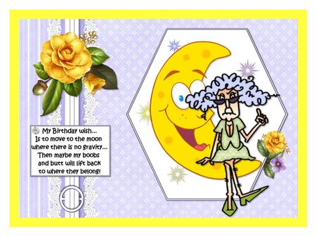 Stella Wants to Go to the Moon Quick Card by Julie McGregor