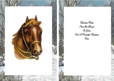 Horse in a Field of Snow A5 Insert by Julie McGregor