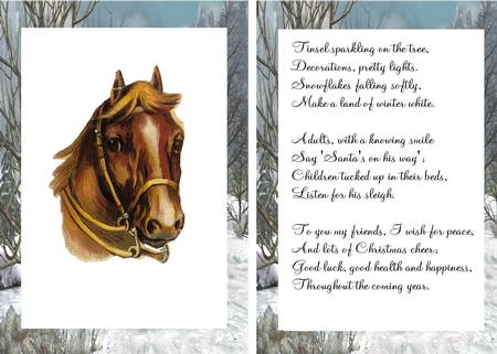Horse in a Field of Snow A5 Insert with Verse by Julie McGregor