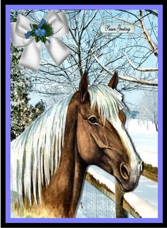 Palamino Horse in a Field of Snow Covered Trees A4 by Julie McGregor