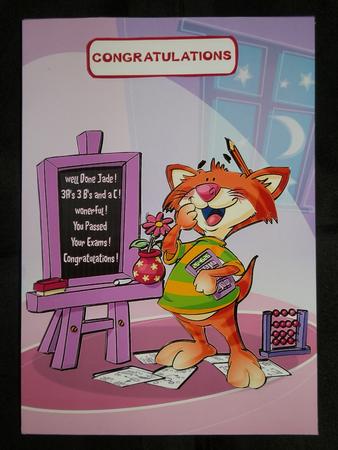 Clever Cat by Julie McGregor