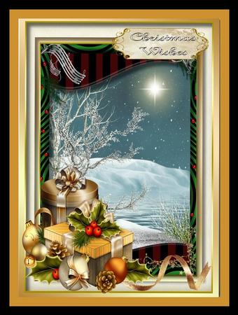 Lovely Snow Scene and Gifts  by Julie McGregor