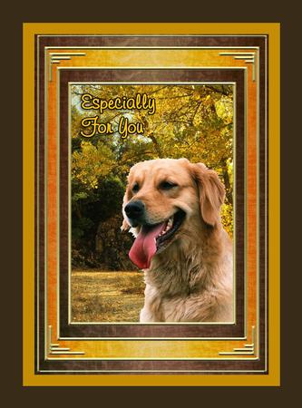Golden Retriever by Julie McGregor