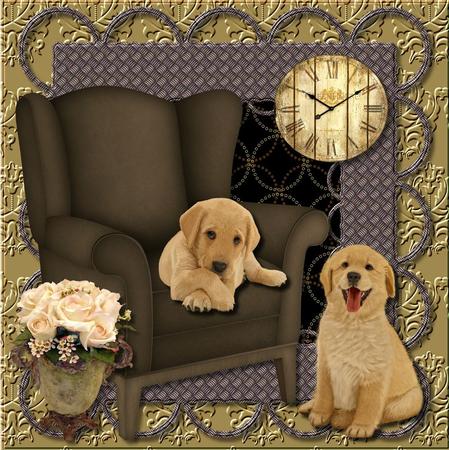 Male Card Puppys by Julie McGregor